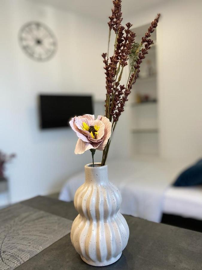 City Vibes Apartment Pula Dış mekan fotoğraf